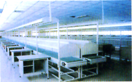 ˫��ƽ��Ƥ�����ͻ�